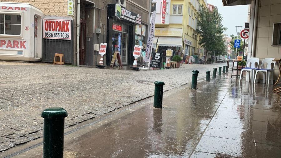 Eskiehir'de ceviz byklnde dolu etkili oldu