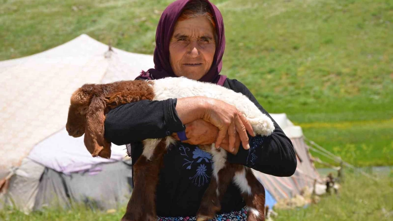 Göçerler 3 bin rakımlı Faraşin Yaylasına ulaştı