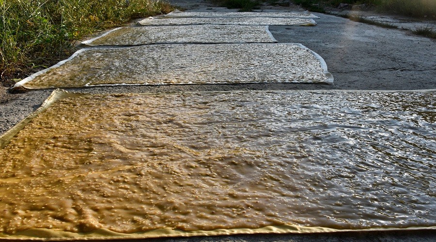 Gümüşhane'de geleneksel pestil mesaisi başladı