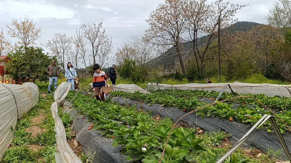 Hasad� �ift�i de�il, vatanda� yapt�