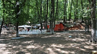 Hasanbaba Piknik Alanı: Deniz manzarası eşliğinde piknik