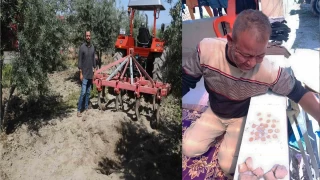 Hataylı çiftçinin pulluğuna altın dolu küp takıldı