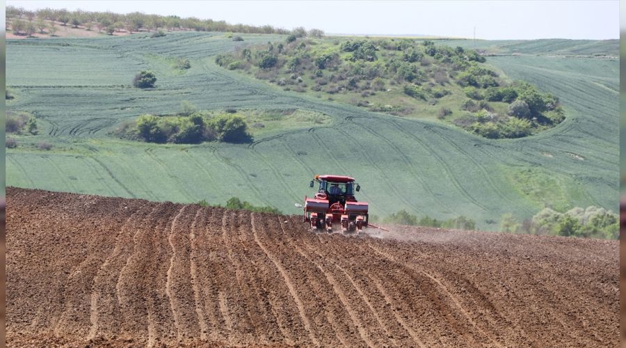 Hükümet tarımda üretimi değil ithalatı seçti