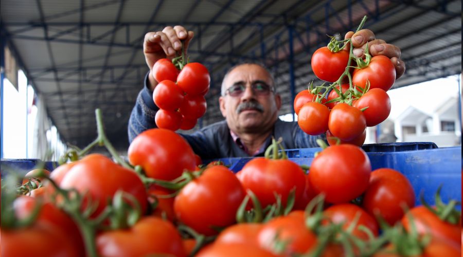  �hracat durdu, fiyatlar d��t�