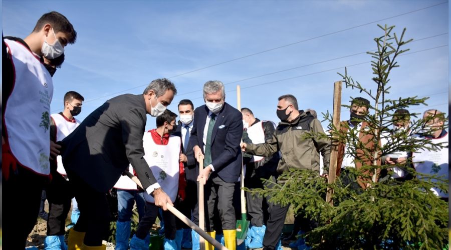 �SO'dan �stanbul'a 120 bin fidan