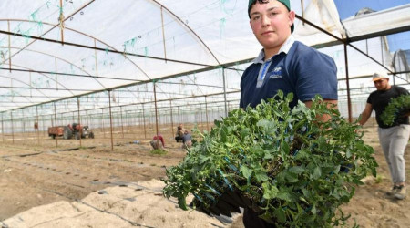 Isparta'nın yaş sebze merkezi Deregümü'nde sezon açıldı