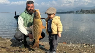 İznik Gölü'nde sazan bereketi