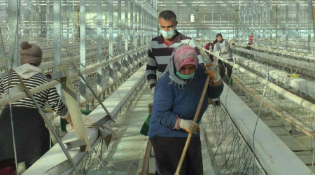 Jeotermal seralar sezona hazırlanıyor