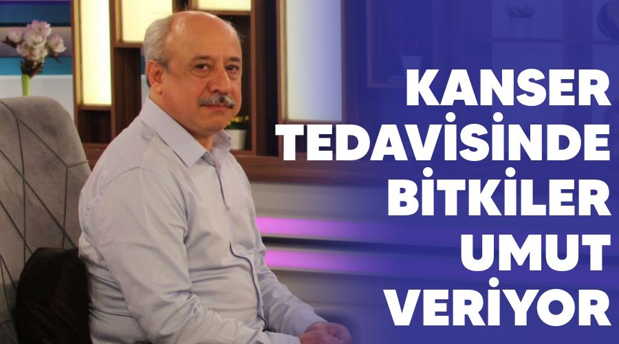 Kanser tedavisinde bitkiler umut veriyor