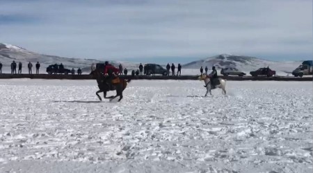 Kars'ta kar üzerinde cirit coşkusu