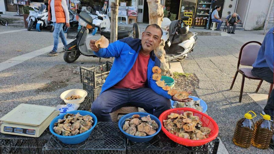 Kırmızı melkinin kilosu 200 lira