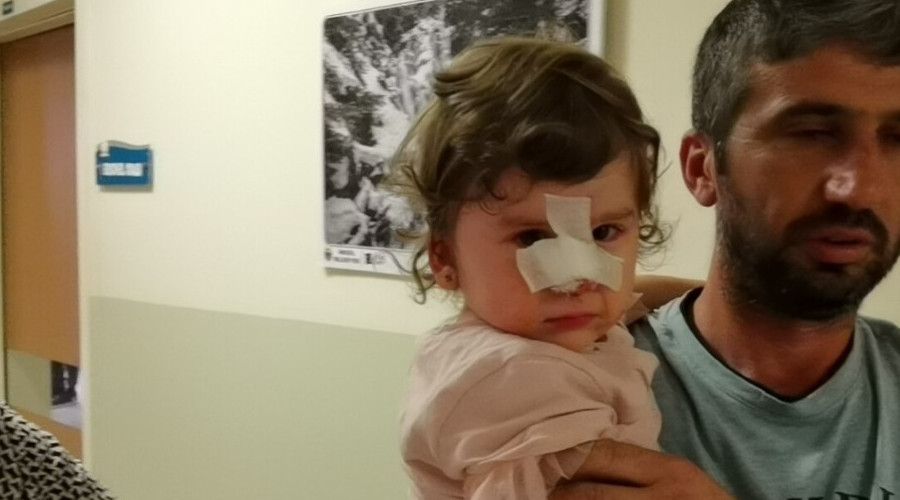 Köpeğin saldırısına uğrayan çocuğu babası zor kurtardı