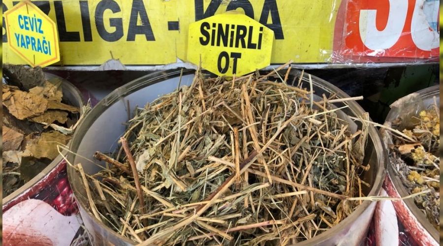 Korona i�in 'Sinirli Ot' yo�un talep g�r�yor