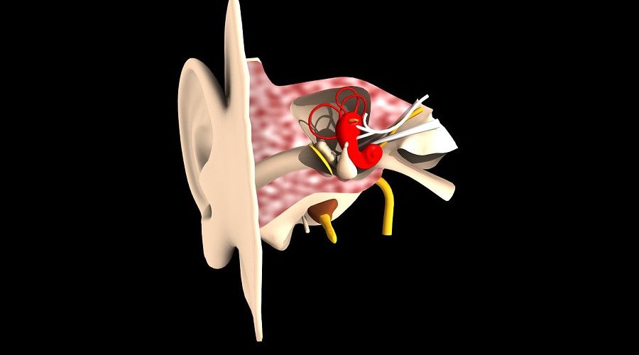 'Kulak iltihaplar� kal�c� hasarlar b�rakabilir'