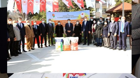 Kuraklığın etkili olduğu Amasya'da çiftçilere ayçiçeği tohumu desteği