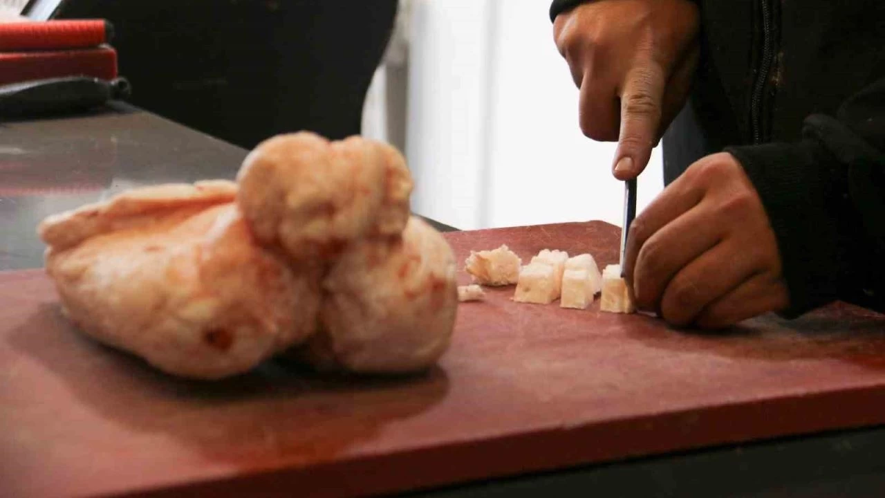 Kuyruk ya��, romatizmas� olan hastalara �ifa oluyor