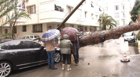 Maltepe'de rzgarn etkisiyle dev aa milyonluk otomobilin zerine devrildi