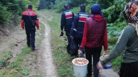 Mantar toplarken kaybolan 6 kişi bulundu