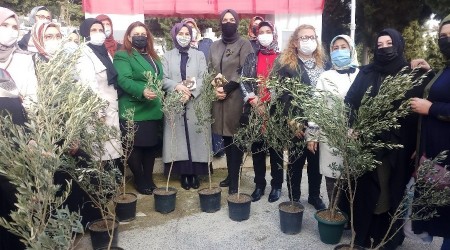 Milli Ağaçlandırma Günü'nde anlamlı fidan dikimi