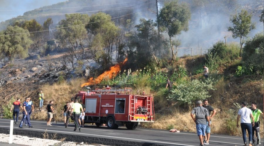 Mu�la'da orman yang�nlar� korkutuyor