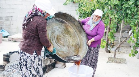 Nevşehir'de bağ bozumu