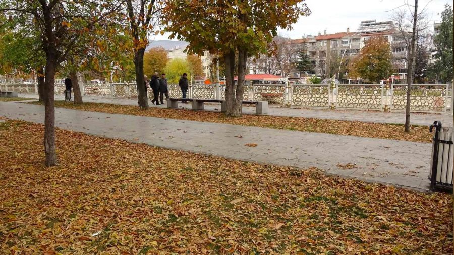 O ilde sonbahar yapraklar�n�n s�p�r�lmesi yasakland�