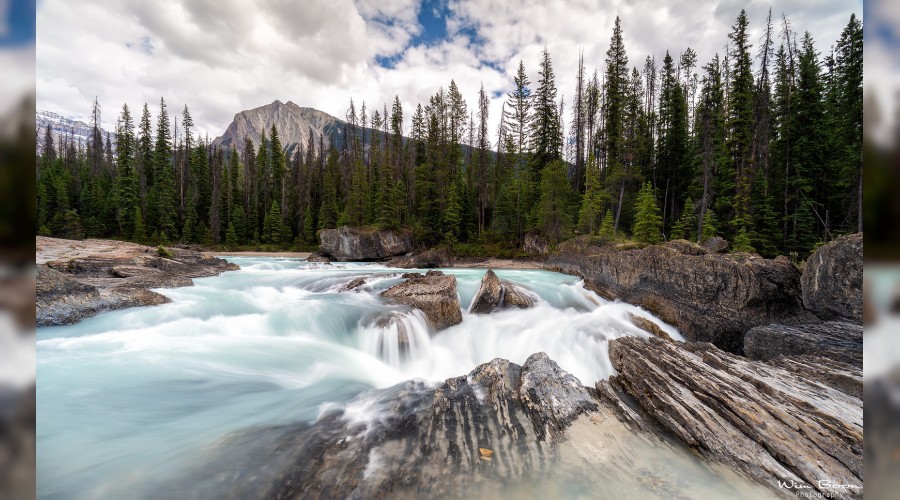 ‘O merhametlidir, merhametliyi sever’