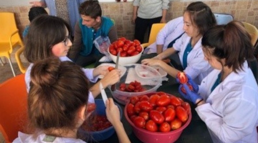 Öğrenciler doğal yöntemlerle domates salçası üretiyor