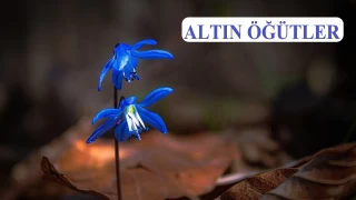 ‘Ölüm, mü’mine bir hediyedir’