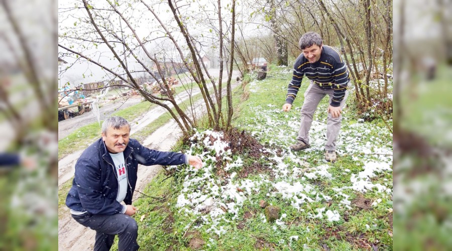 Ordu'da nisanda kar yağdı
