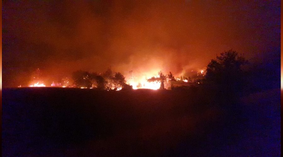 Osmaniye'deki yangna karadan mdahale devam ediyor