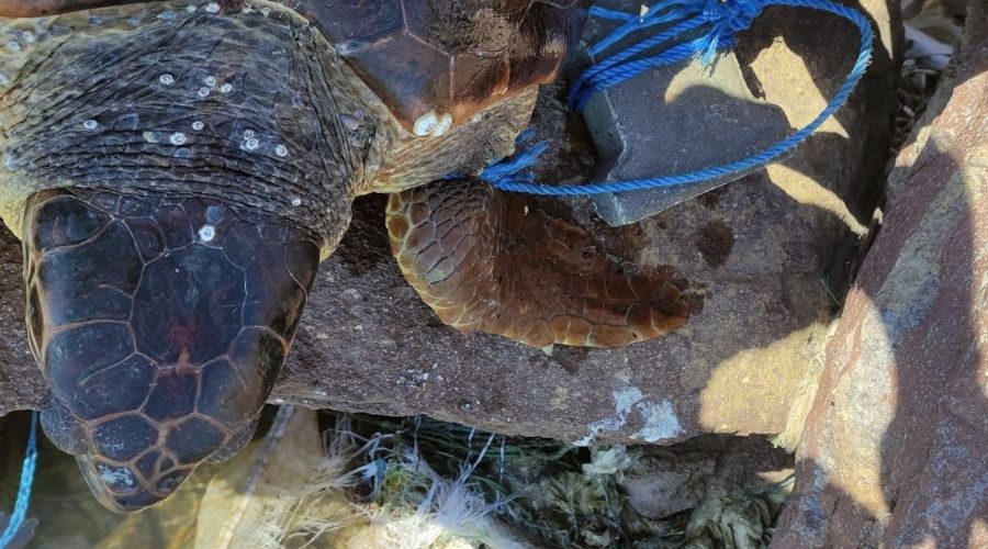 Parke ta�� ba�lanarak denize at�ld�