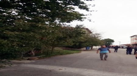 Pendik'te komşu dehşeti
