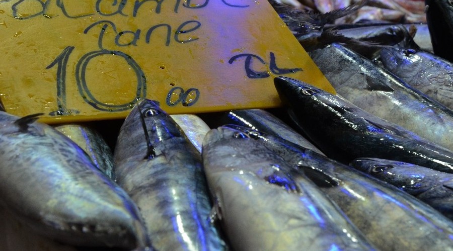 Plamut bal��� 10 liraya geriledi