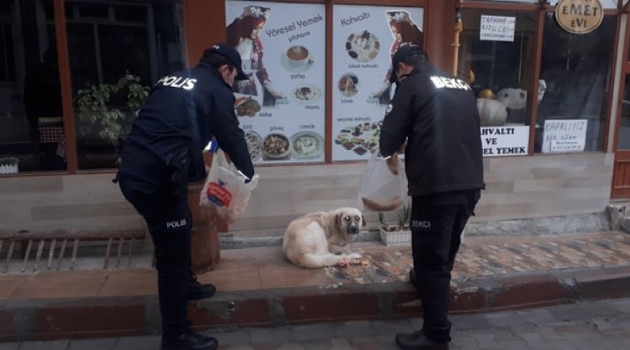Polisler sokak hayvanlarını elleriyle besledi