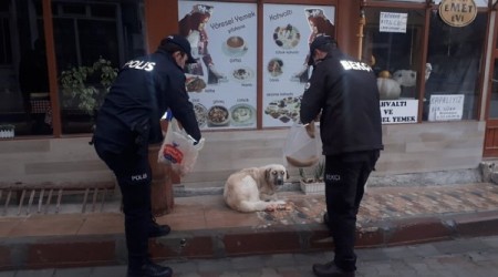 Polisler sokak hayvanlarını elleriyle besledi