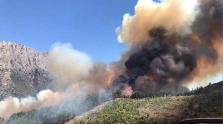 Pozantı'da orman yangını