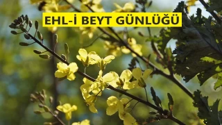 'Sadece müteşabihlerin peşinden gitmeyiniz'