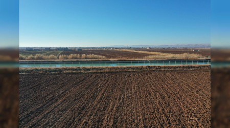 Şanlıurfa'da çiftçinin gözü gökyüzünde