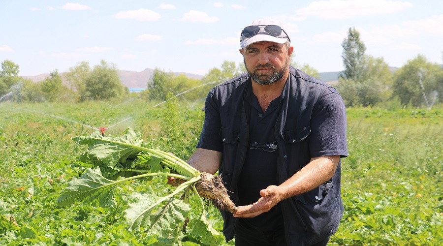 Şeker pancarı üreticileri fabrika istiyor