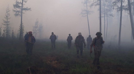Sibirya'daki orman yangnlar 1.3 milyon hektarlk alan kle evirdi