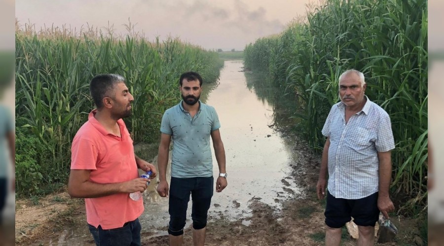 Suruç'ta 5 bin dönüm tarım arazisi sular altında