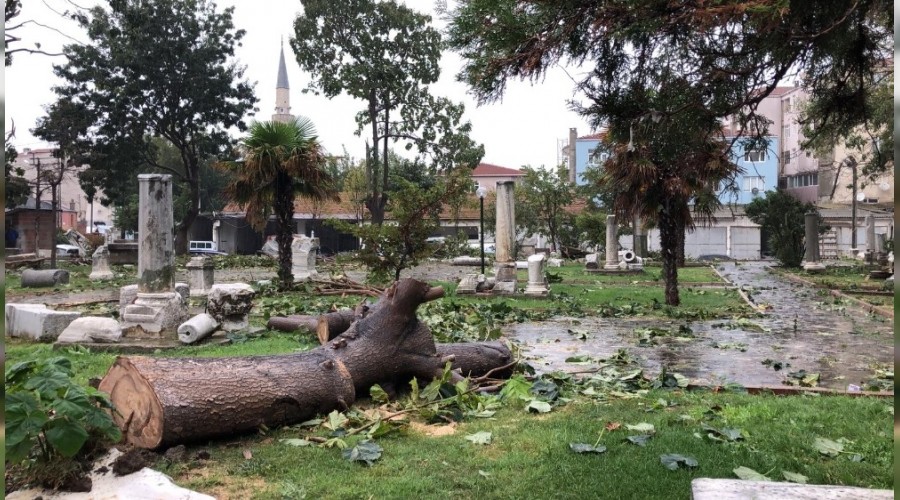 Tekirdağ'ın Marmaraereğilisi ilçesini hortum vurdu