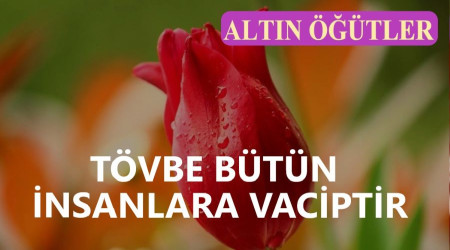 Tvbe btn insanlara vaciptir 