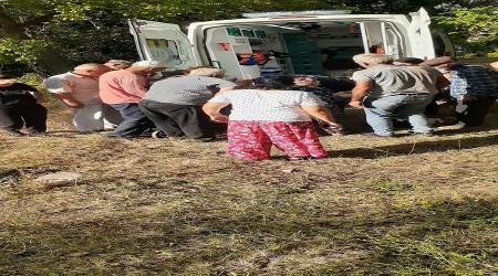 Tunceli'de ayı saldırısı