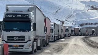 T�rkiye-�ran s�n�r kap�s�nda 2 kilometrelik t�r kuyru�u olu�tu