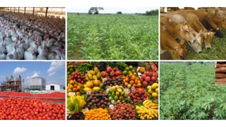 Üretilen mal ve hizmetin iki türlü değeri vardır