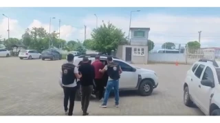 Van'da 5 organizatr tutukland