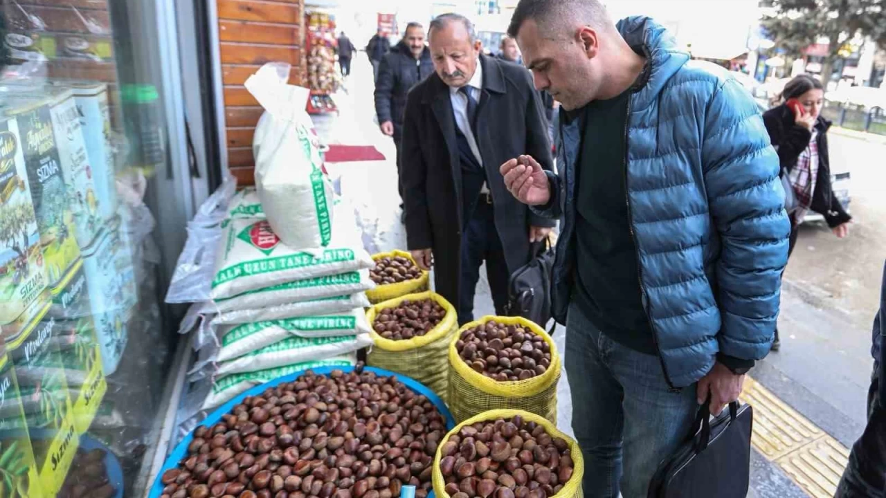 Van'da 'Çin kestanesi' denetimi