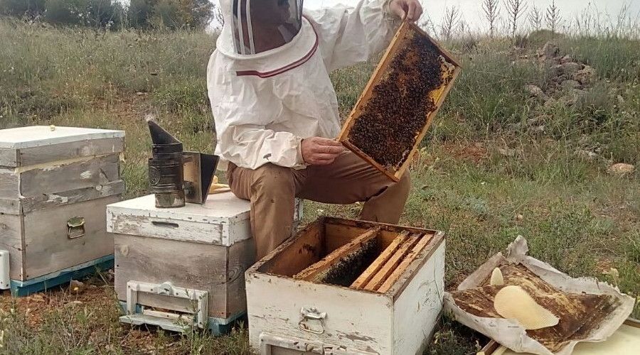 Yaşanan kuraklıktan arı varlığı ve bal üretimi de etkilenmeye başladı